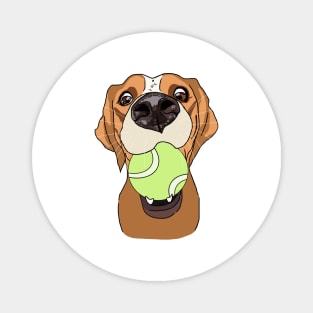 Funny dog with a ball in its mouth Magnet